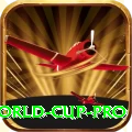 2019 world cup Super - Daily Bonus