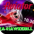 antigua hawksbill Apps (Tools & Injectors) Premium v2.4.3