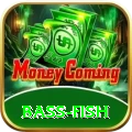 bass fish