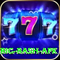 bbl big bash apk Games (Casino & Earning) Elite v1.0.4