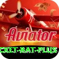 cricket bat - Premium v4.8.7