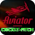 cricket pitch Pro1 v2.0.5