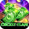 cricket team VIP Edition v1.0.7
