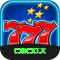 crickex Max Pro vv1.6.1