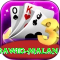 dawid malan Plus Edition v1.8.4