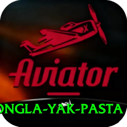 dzongla yak pasta Pro Edition v3.3.4 - 2