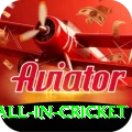 fastest ball in cricket Deluxe v4.5.5