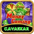 gavaskar VIP Pro v3.0.3