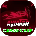 grass carp Master v3.9.2