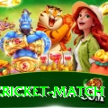 india cricket match Gold v5.0.9