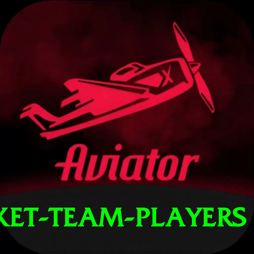 india national cricket team players VIP v3.0.5 - 2