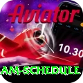 indian cricket team schedule Pro Edition v5.0.1