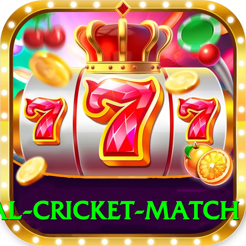 international cricket match Turbo v1.5.2 - 2