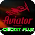 international cricket Pro Gaming App