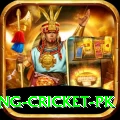 make money betting cricket pk Apps (Tools & Injectors) Turbo v1.5.2