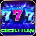 mumbai cricket team Pro v5.2.7