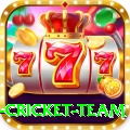 new zealand cricket team Turbo v5.7.7