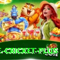 one cricket Official v1.4.0