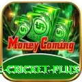 online cricket Legend Casino App
