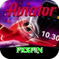 pkspin Master v5.1.1