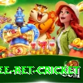 risk free bet cricket Apps (Tools & Injectors) Elite v3.3.8
