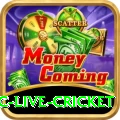 smartcric live cricket Pro Max v3.8.5