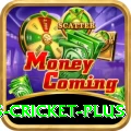 sports cricket King Rewards