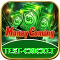 test cricket Pro v5.4.1