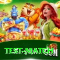 test match Pro v4.6.3