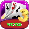 wc t20 Master v2.2.6