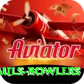 wicket hauls bowlers Pro1 v5.8.2