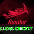willow cricket Premium Plus v5.2.7