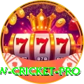 willow cricket Official v3.2.9