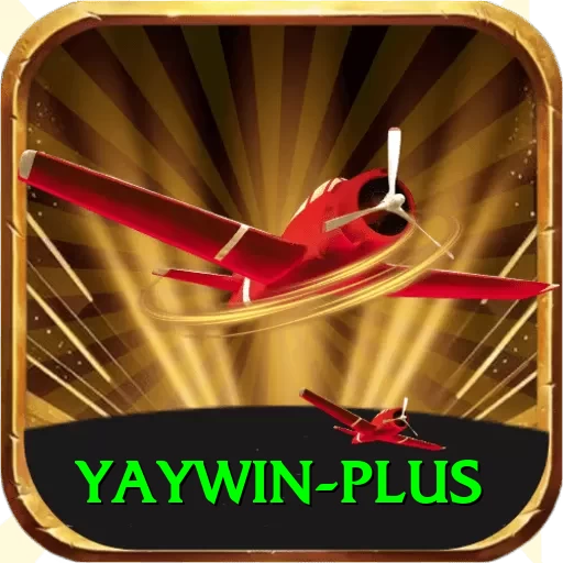 yaywin Gold Edition v2.8.9 - 2